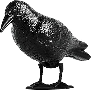 OFFO Taubenschreck Schwarz Rabe, Raben Attrappe Taubenabwehr und Vogelabwehr für Balkon, Krähe …
