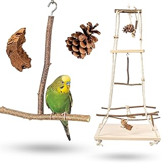 Vogelgaleria® Atemberaubender Vogelspielplatz hängend mit vielen Sitzstangen ! Tolles Vogelspie…