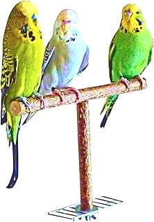 Vogelgaleria® Anflughilfe/Anflugstange für den Vogelkäfig oder die Voliere. Tolles, handgemach…